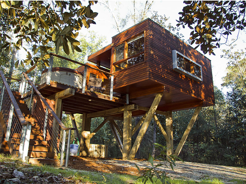 Modern-Treehouse